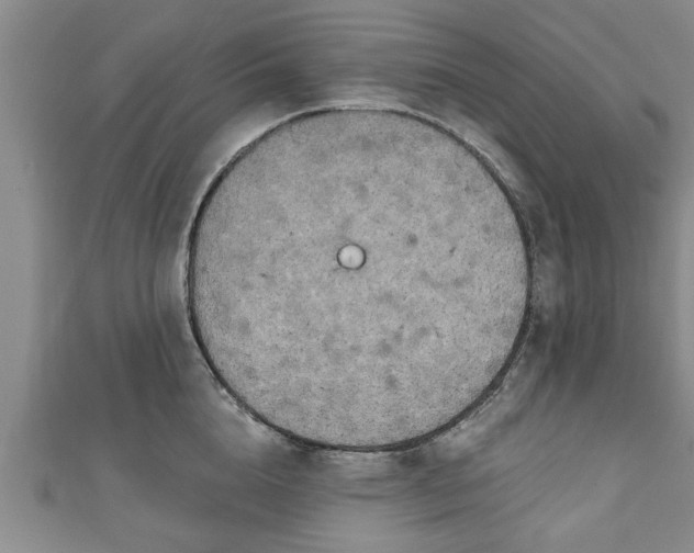 X0000111170856200907081213