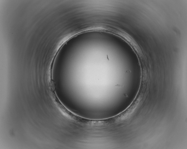 X0000111170858200907081213