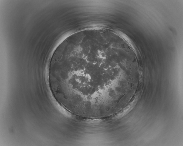 X0000111170859200907081213