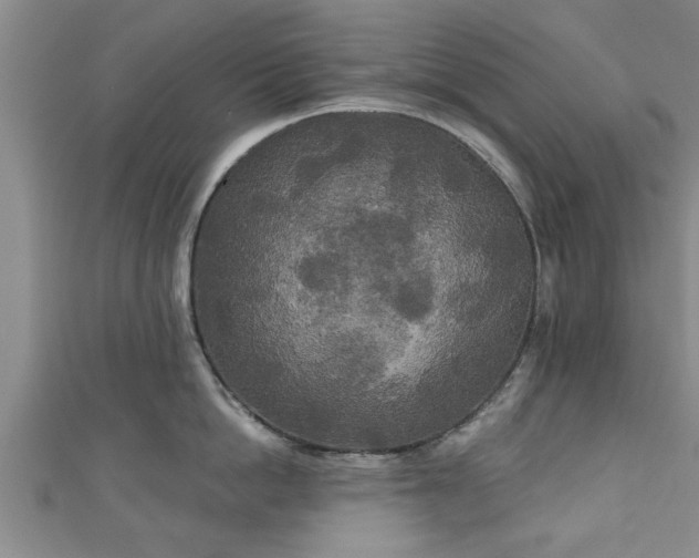 X0000111170862200907081213