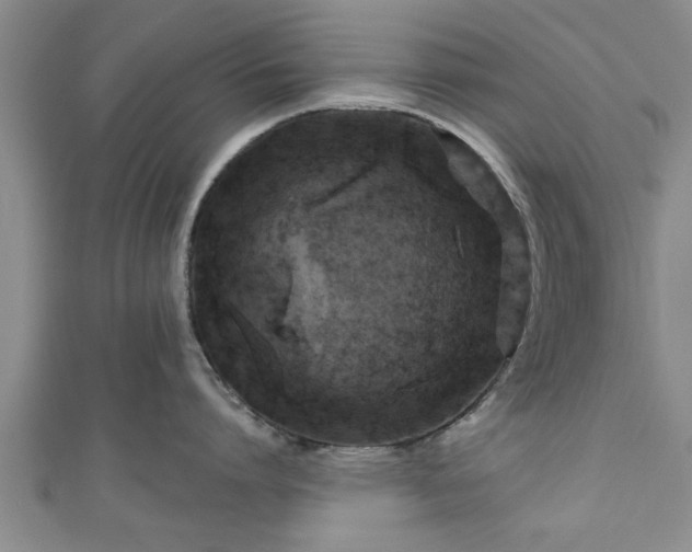 X0000111170864200907081213