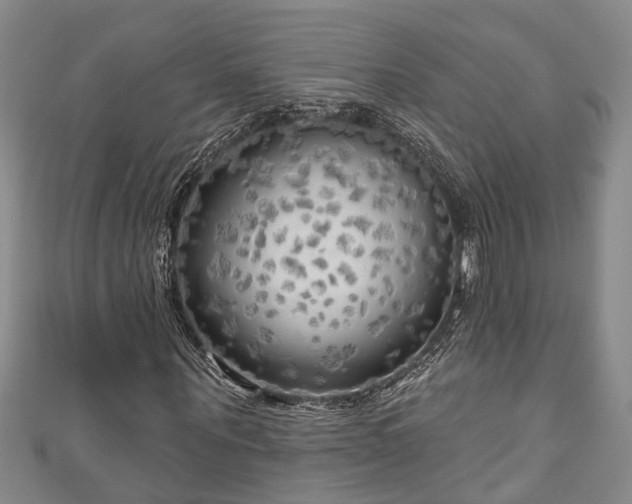 X0000111170867200907081213