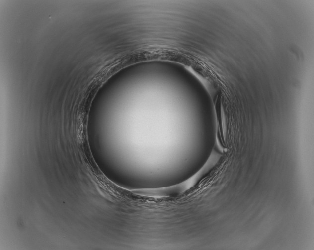 X0000111170868200907081213