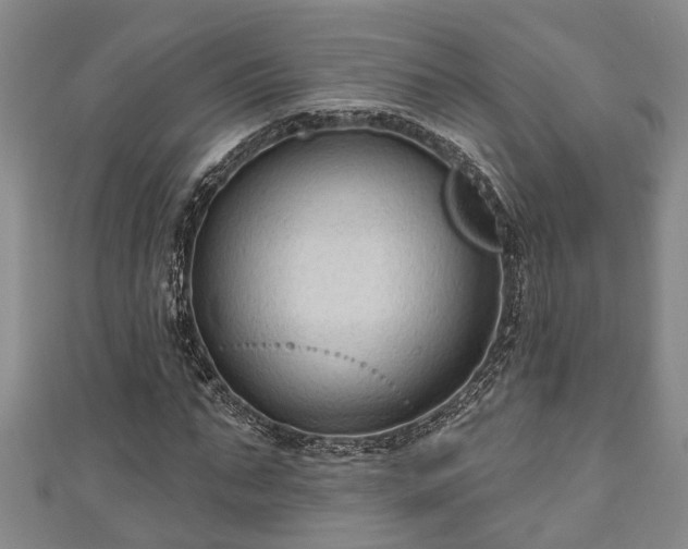 X0000111170871200907081212