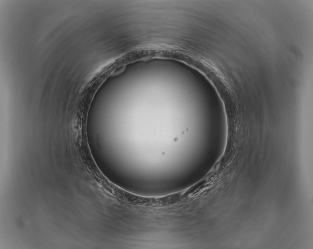 X0000111170872200907081212