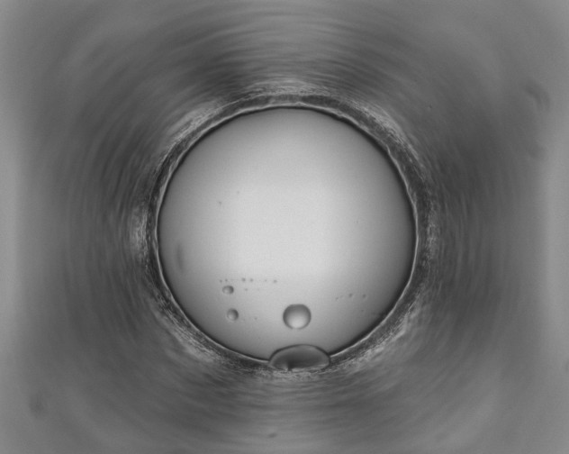 X0000111170873200907081212