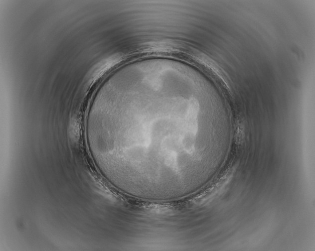 X0000111170874200907081212