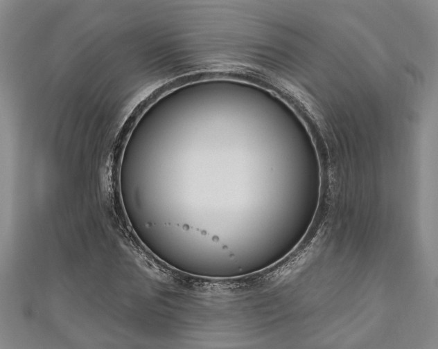 X0000111170875200907081212