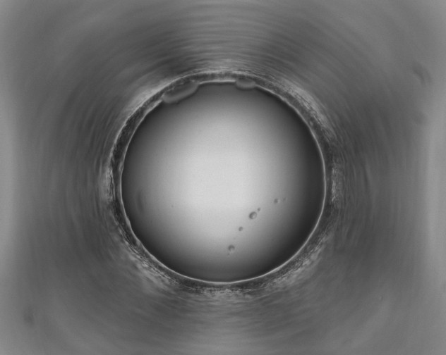 X0000111170876200907081212