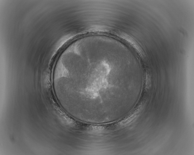 X0000111170878200907081212