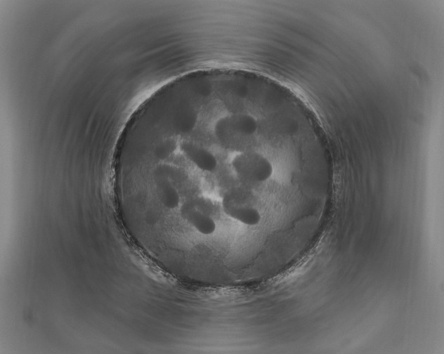 X0000111170879200907081212