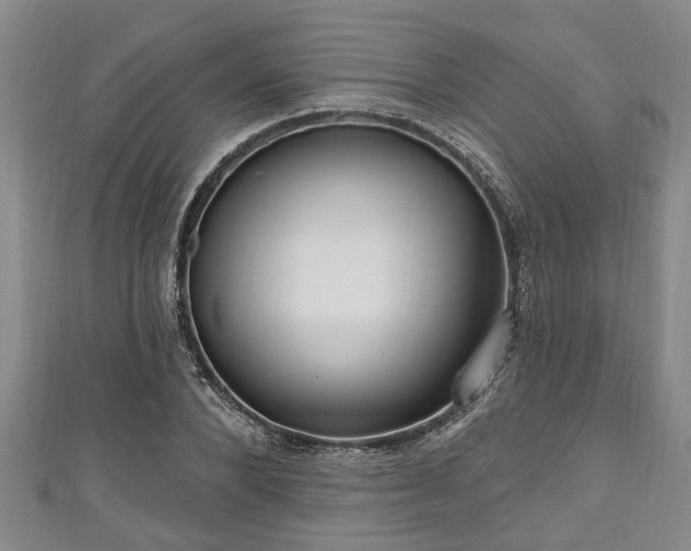 X0000111170880200907081212