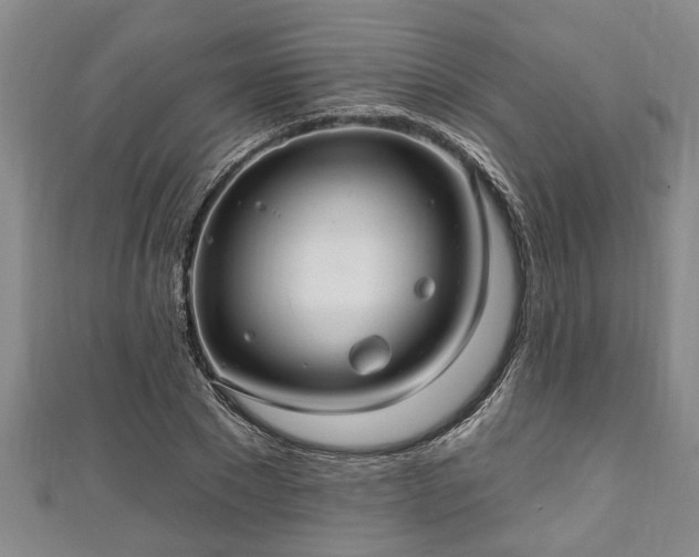 X0000111170881200907081212