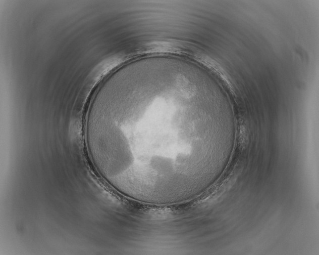 X0000111170882200907081212