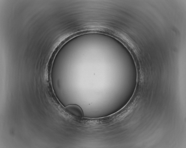 X0000111170883200907081212