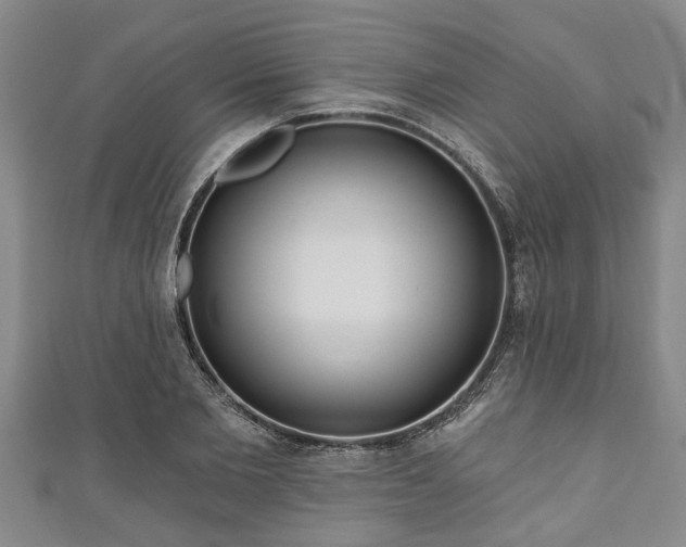 X0000111170885200907081212