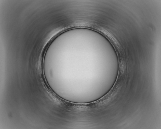 X0000111170886200907081212