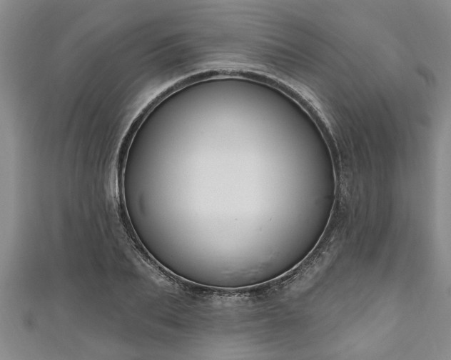 X0000111170887200907081212