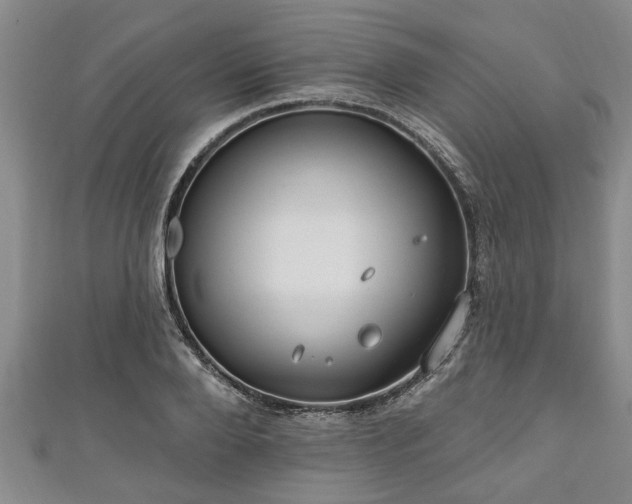 X0000111170888200907081212