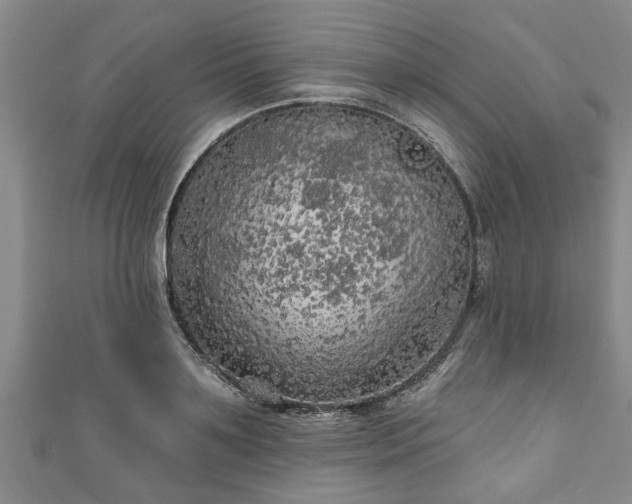 X0000111170891200907081212