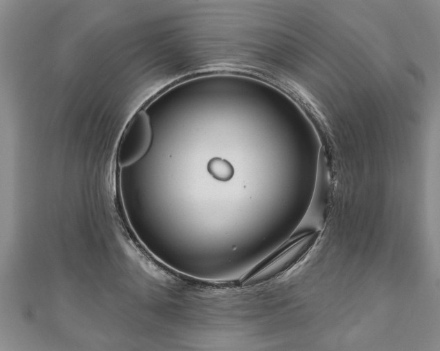 X0000111170892200907081212