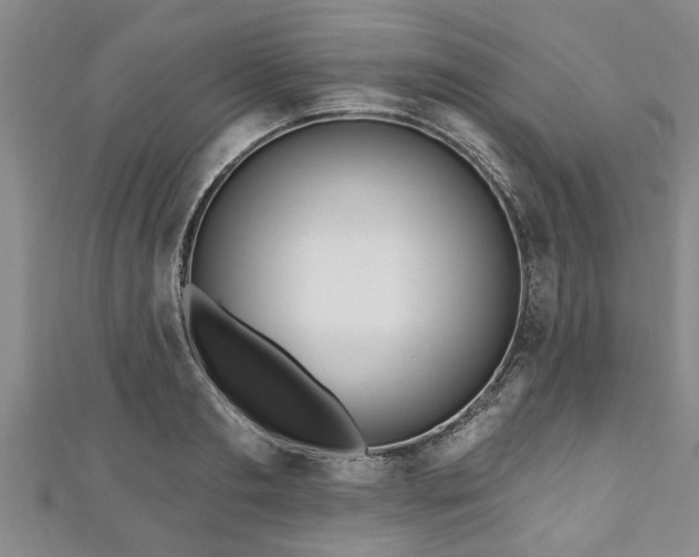 X0000111170893200907081212