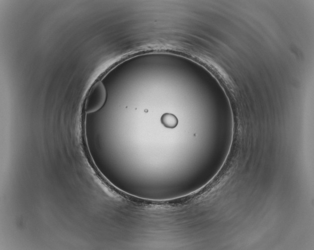 X0000111170894200907081212