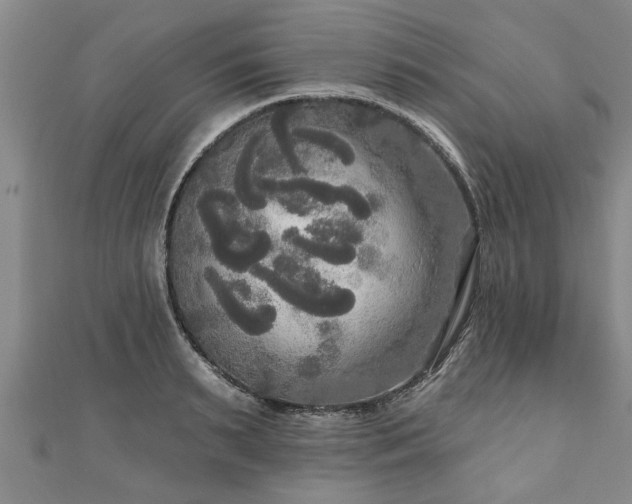 X0000111170895200907081212