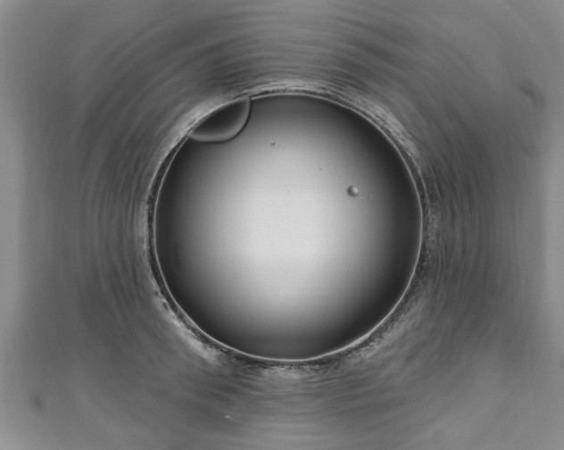 X0000111170898200907081212