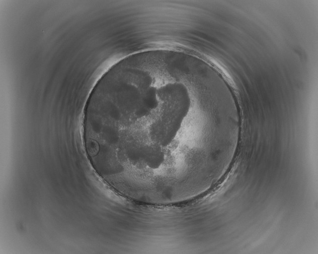 X0000111170899200907081212