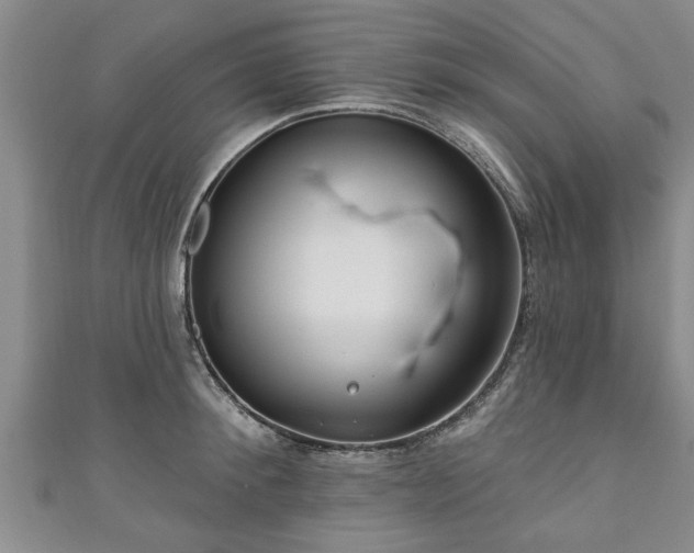 X0000111170900200907081212