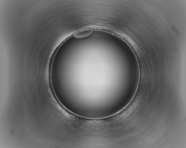 X0000111170902200907081212