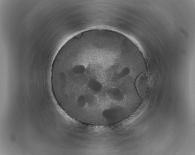 X0000111170903200907081212