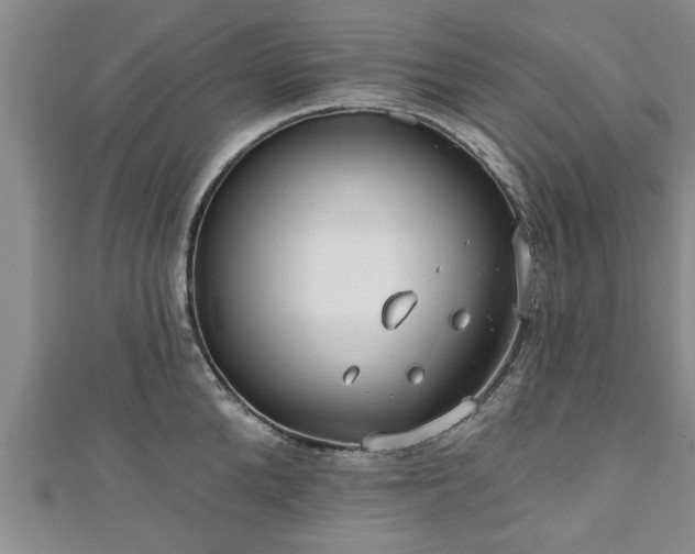 X0000111170904200907081212