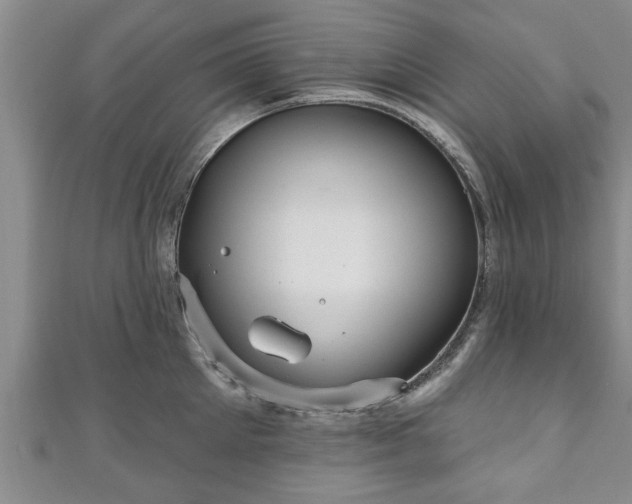 X0000111170905200907081212