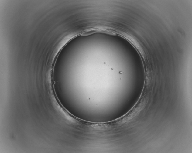 X0000111170906200907081212