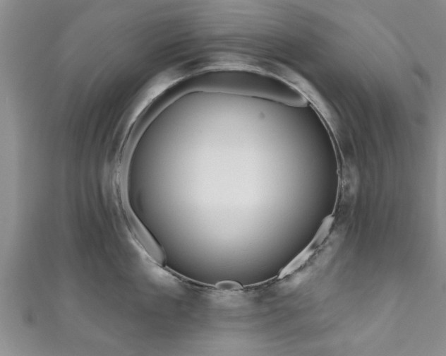 X0000111170909200907081212