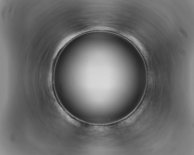 X0000111170910200907081212