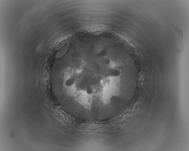 X0000111170917200907081211