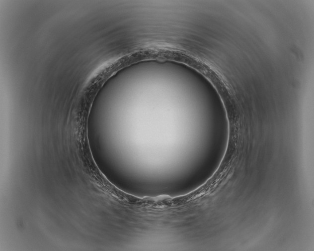 X0000111170919200907081211