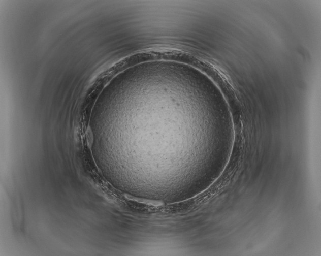 X0000111170920200907081211