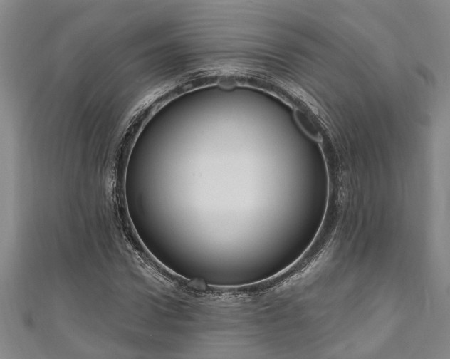 X0000111170922200907081211