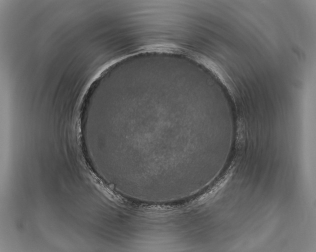 X0000111170923200907081211