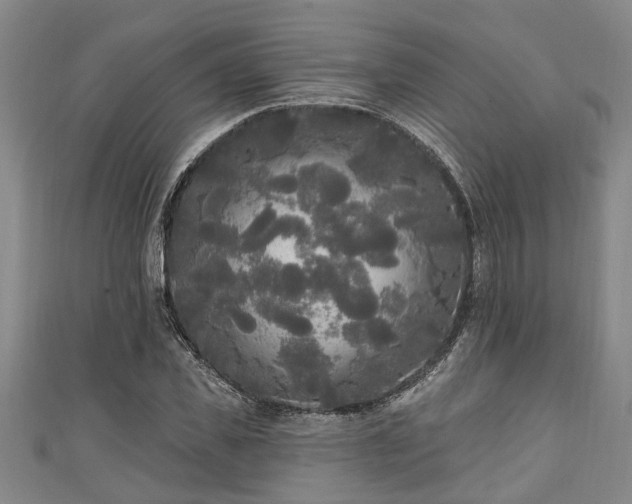 X0000111170925200907081211