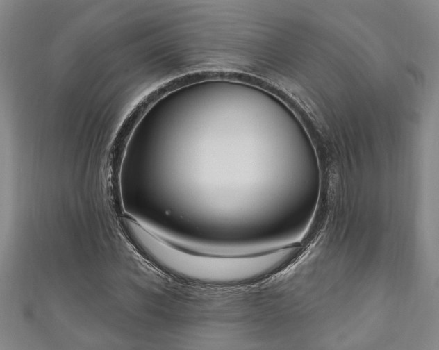 X0000111170926200907081211