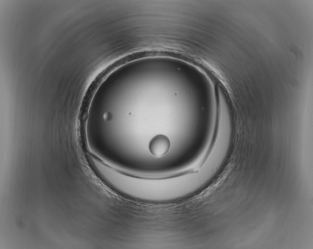 X0000111170928200907081212