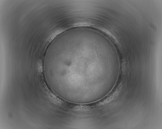 X0000111170929200907081212