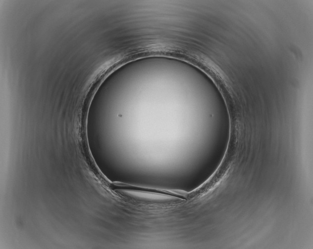 X0000111170930200907081212