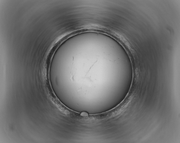 X0000111170931200907081212