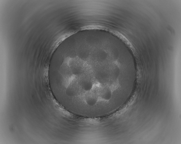 X0000111170937200907081212